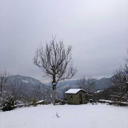 Παραδοσιακή Πέτρινη Κατοικία Στην Βλάχα Ελάτης Exterior foto