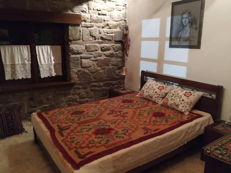 Παραδοσιακή Πέτρινη Κατοικία Στην Βλάχα Ελάτης Exterior foto